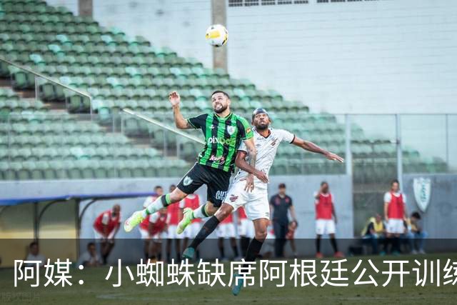 阿媒：小蜘蛛缺席阿根廷公开训练，他可能在第二场友谊赛中出场
